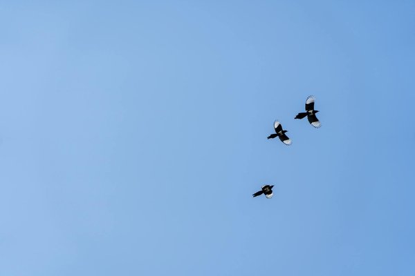 Rester actif malgré l'incontinence urinaire chez les seniors