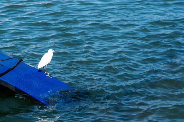 Comment le sport contribue à la santé mentale ?