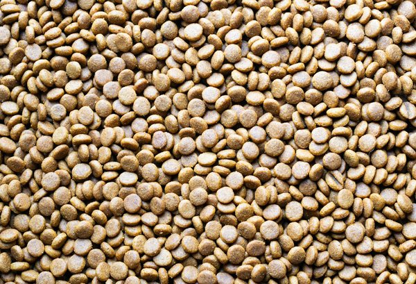 Recettes de repas minceur pour la famille